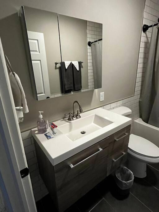Downtown Albany 1 Bed + Workstation @ Maiden Lane Lägenhet Exteriör bild