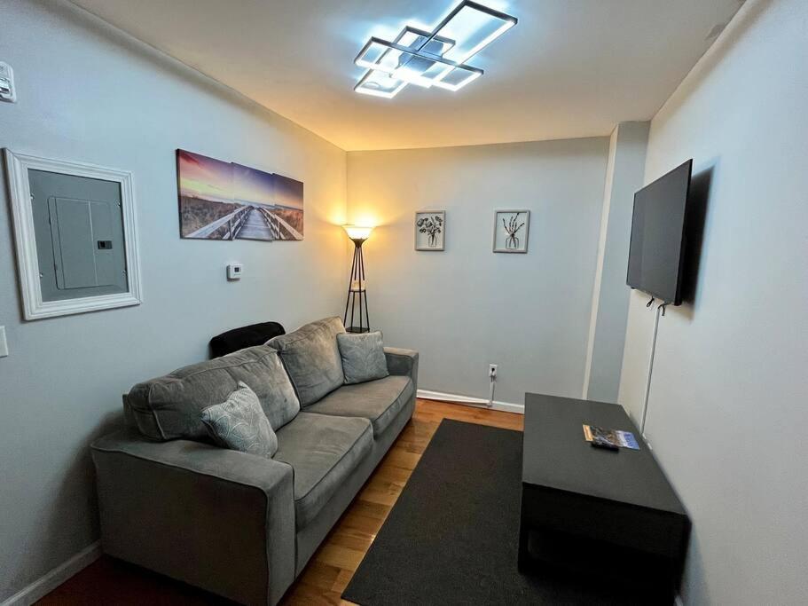 Downtown Albany 1 Bed + Workstation @ Maiden Lane Lägenhet Exteriör bild