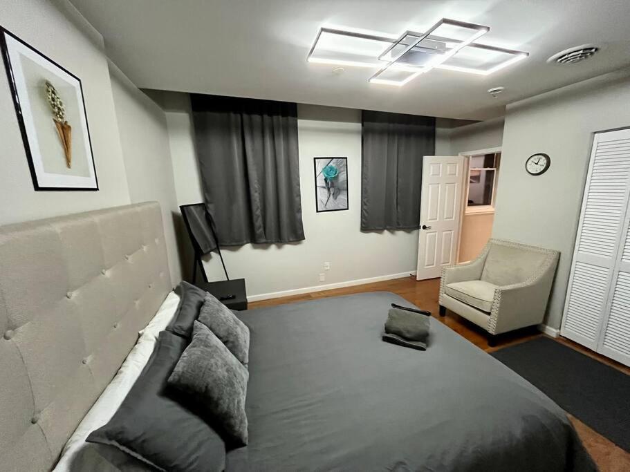 Downtown Albany 1 Bed + Workstation @ Maiden Lane Lägenhet Exteriör bild